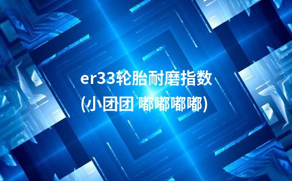 er33轮胎耐磨指数(小团团 嘟嘟嘟嘟)